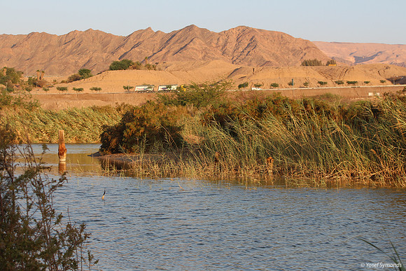 Lake Anita Looking West 1