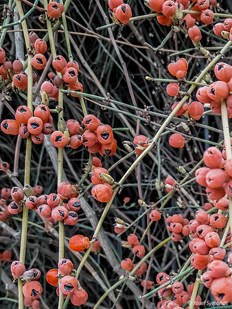 20171113_114023-2
