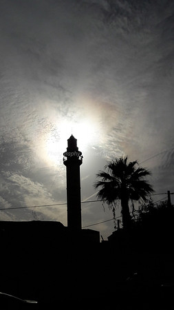 Minaret and Tree - Ramle 4