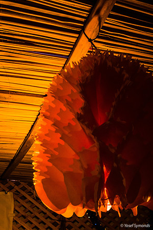 Red Sukkah Decoration 191017-4