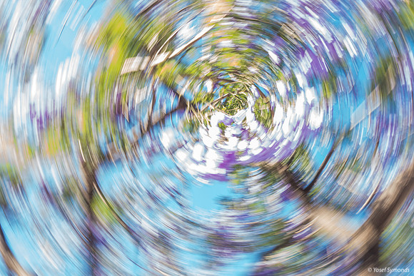 Jacaranda Maor Spinning 200526-6