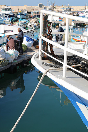 Jaffa Fishing Port
