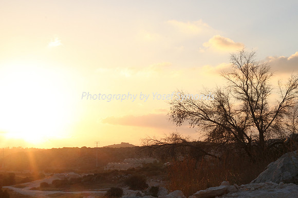 Mem 3 2014 Q3 Sunset on Ramat Shilo 8044