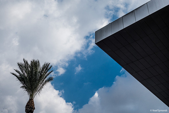 Palm Arcitecture 221221-1