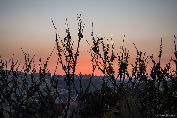 Looking at Ramat Beit Shemesh Gimmel Sunset 200316-1