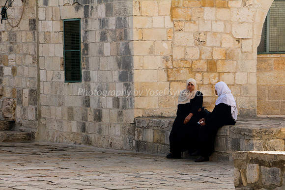 Arab Ladies Sitting