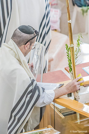 Hoshana Prayers 191020-11