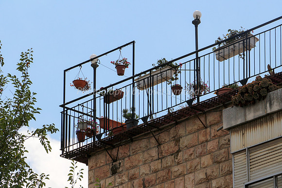 Pot Plants Hanging from Railing 1