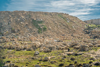 Shepherd and Flock 230111-1