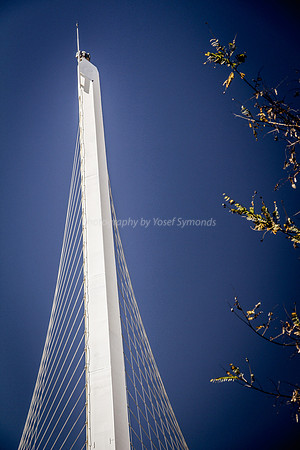 150201-StringBridge0661