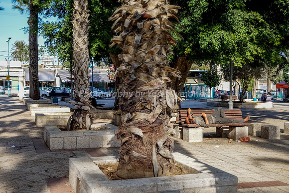 Ramle Park 6