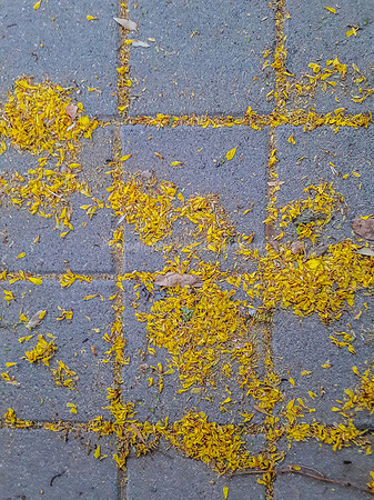 Square Paving Stones 2