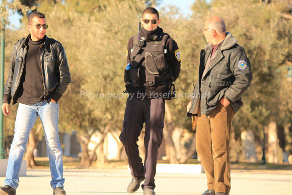 140209-HarHabayit-9835
