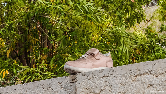 Shoe 250304-3