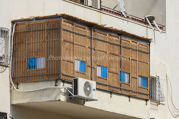 Blue and White in a Black Neighborhood 2