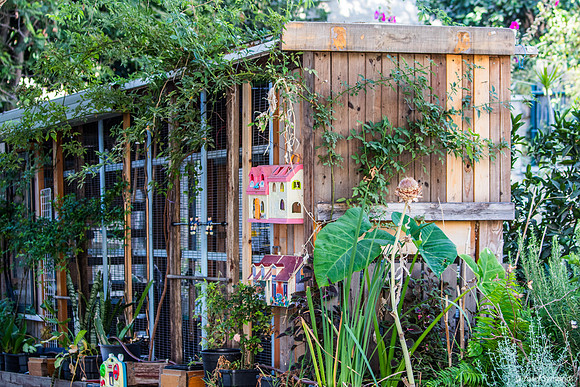 Community Garden Aviary 250701-1