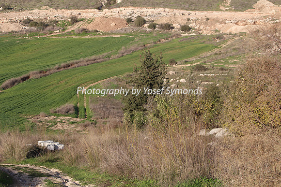 Mishkafayim 2013 Q1 Development Jan13-26