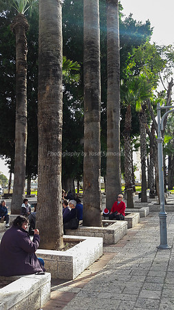 Ramle Square and Park 2