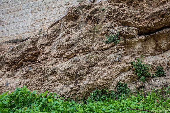 Cracks in Rock Wall 180102-9