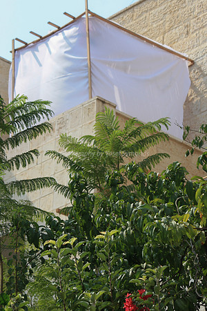 Sailing Sukkah 1