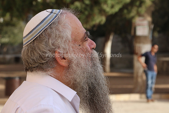 Rav Yitzchak Levy 6
