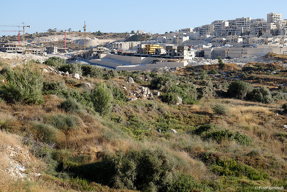 MAAR Construction 1