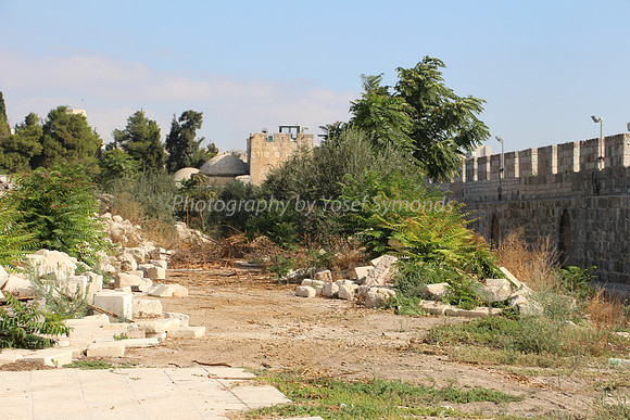 Looking North with Eastern Wall in Background