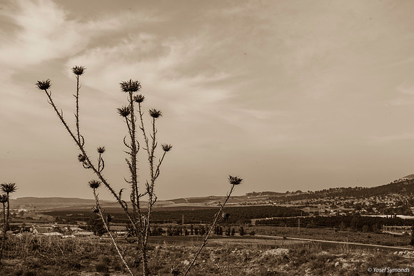 Looking South-West Kibbutz Tzora on Right 191121-4