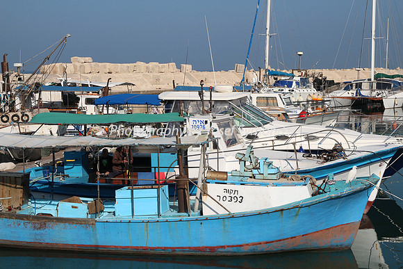 Jaffa Fishing Port