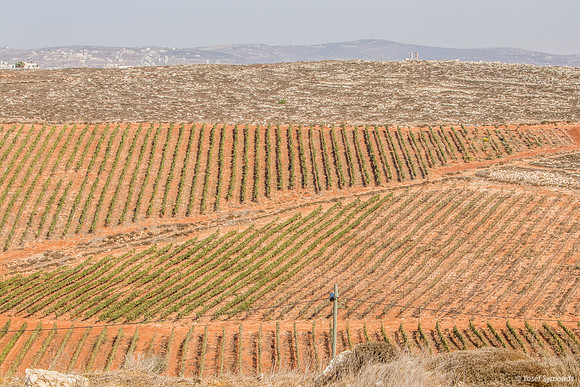 Fields and Mountains to the East 191015-1