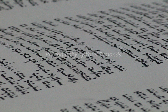 Parchment from Scroll of Book of Prophets 2