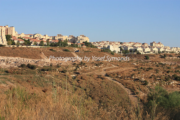 Mishkafayim 2012 Q3 6882