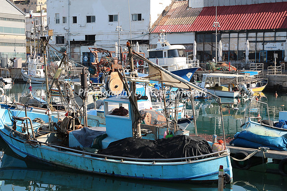 Jaffa Fishing Port