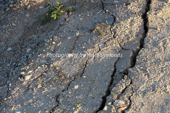 Parched Earth - Mishkafayim 2013 Q1 Development Jan13-5