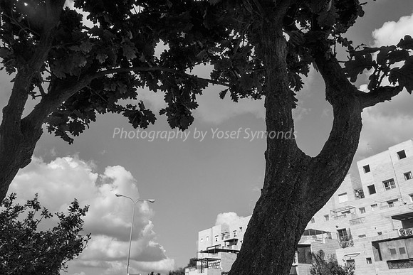 Bird's Eye View of Hayarkon Street RBSA 18