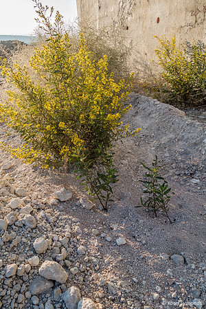 Construction Cracks 211021-3
