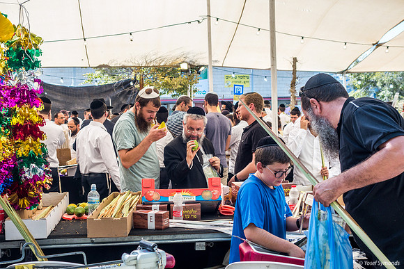 Examining Etrog 191013-5