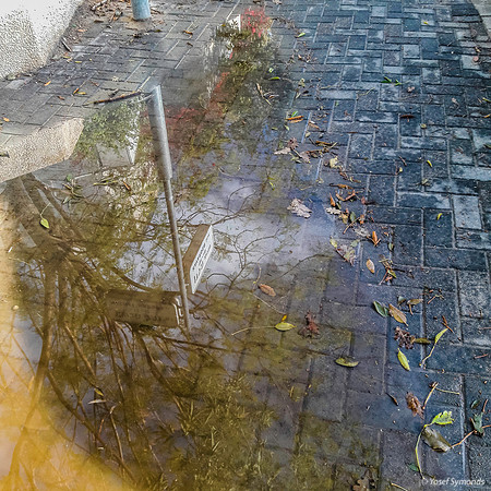 Reflection After Rain 191202