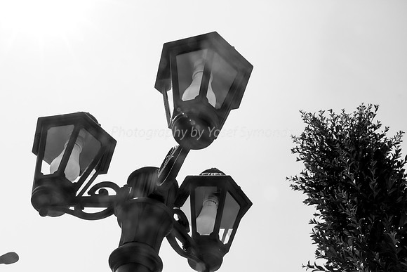 Lamp Posts in Sunlight 2