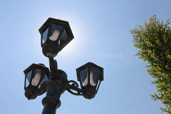 Lamp Posts in Sunlight 3