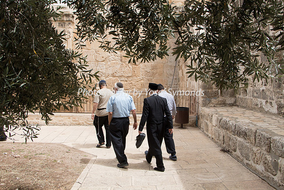Temple Mount 140605 June 2014