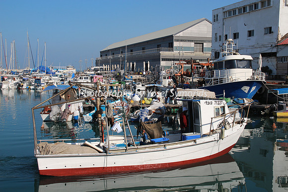 Jaffa Fishing Port