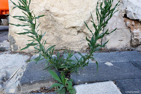 Cracks - May16 3