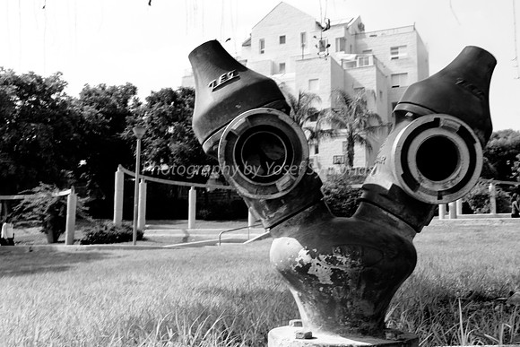 Hydrant Guarding Eyes 1A