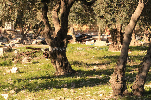 140209-HarHabayit-9874