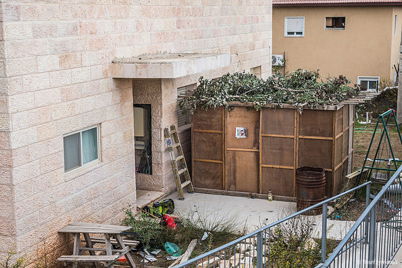 Leafy Branch Sukkah 191015-1