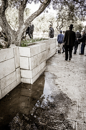 Stopping in Middle of Eastern Side for Reflection