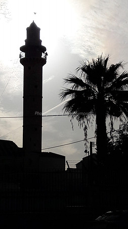 Minaret and Tree - Ramle 6