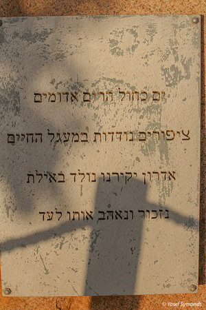 Memorial to Fallen Soldiers 4