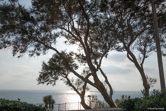 Seascape from Shaked Tayelet 190804-17